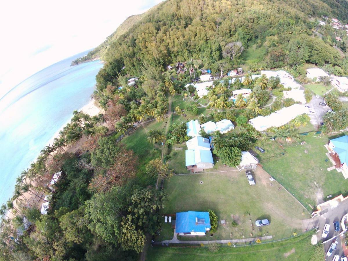 Villa Rêve créole à Deshaies Extérieur photo